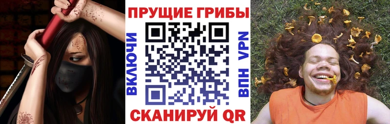 Галлюциногенные грибы Psilocybine cubensis  Лабытнанги 