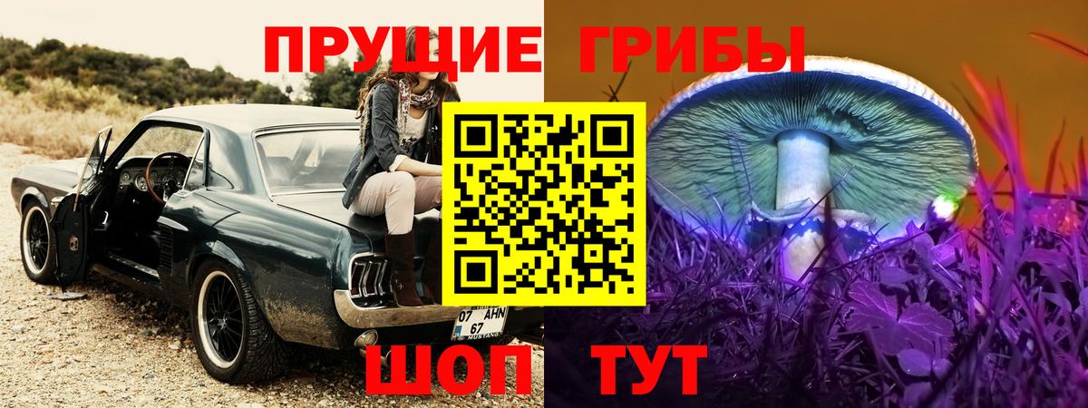 Псилоцибиновые грибы Cubensis  Вход с VPN  Лабытнанги 